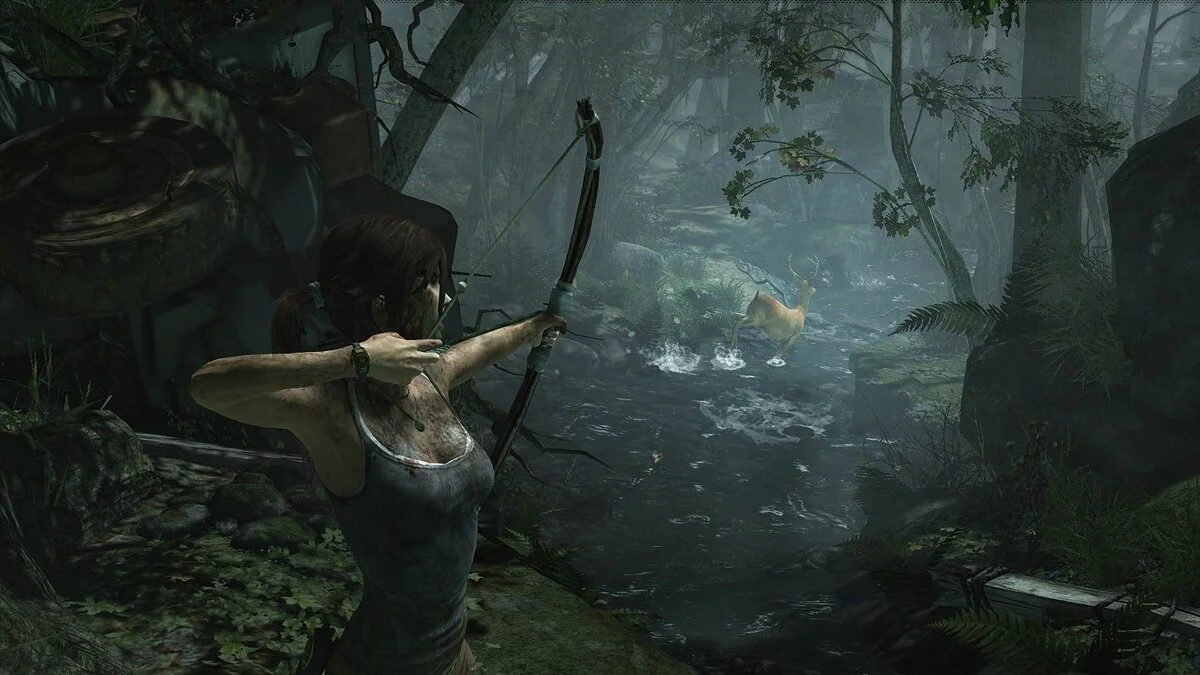 Скриншоты из Tomb Raider / Картинка 32