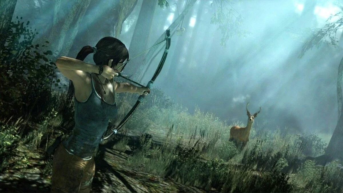 Скриншоты из Tomb Raider / Картинка 20