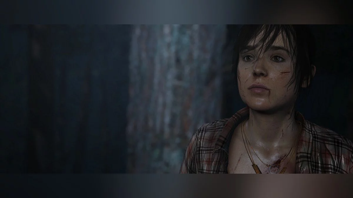 Скриншоты из Beyond: Two Souls / Картинка 18