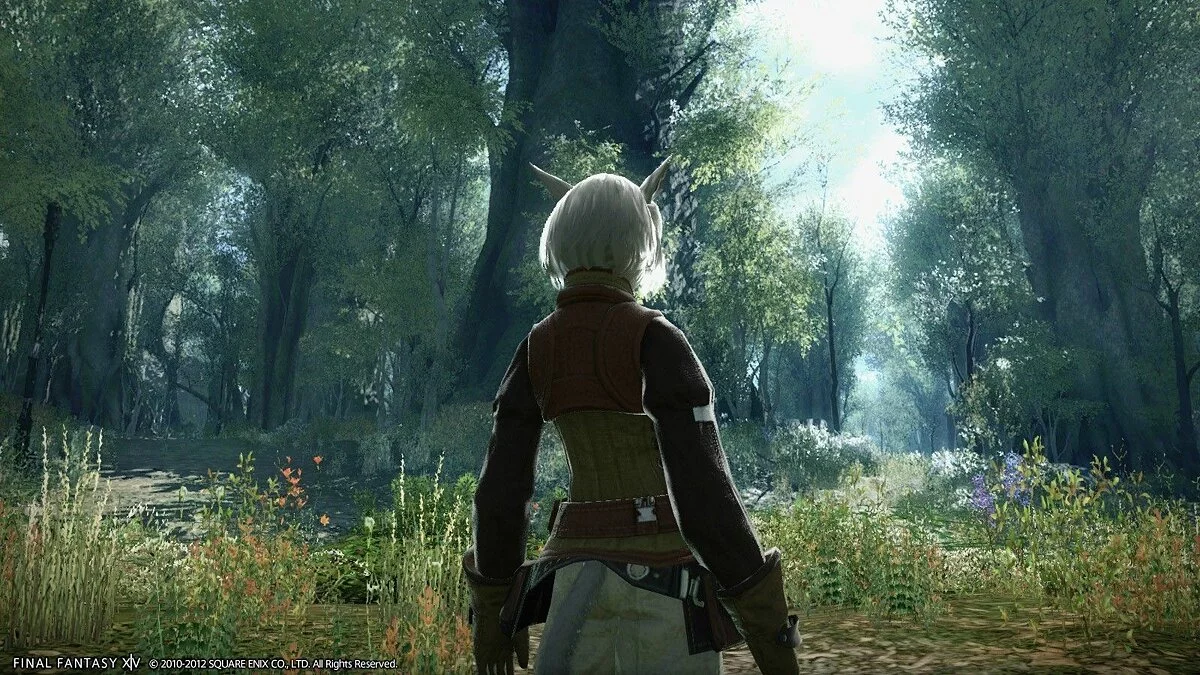 Скриншоты из Final Fantasy XIV / Картинка 4