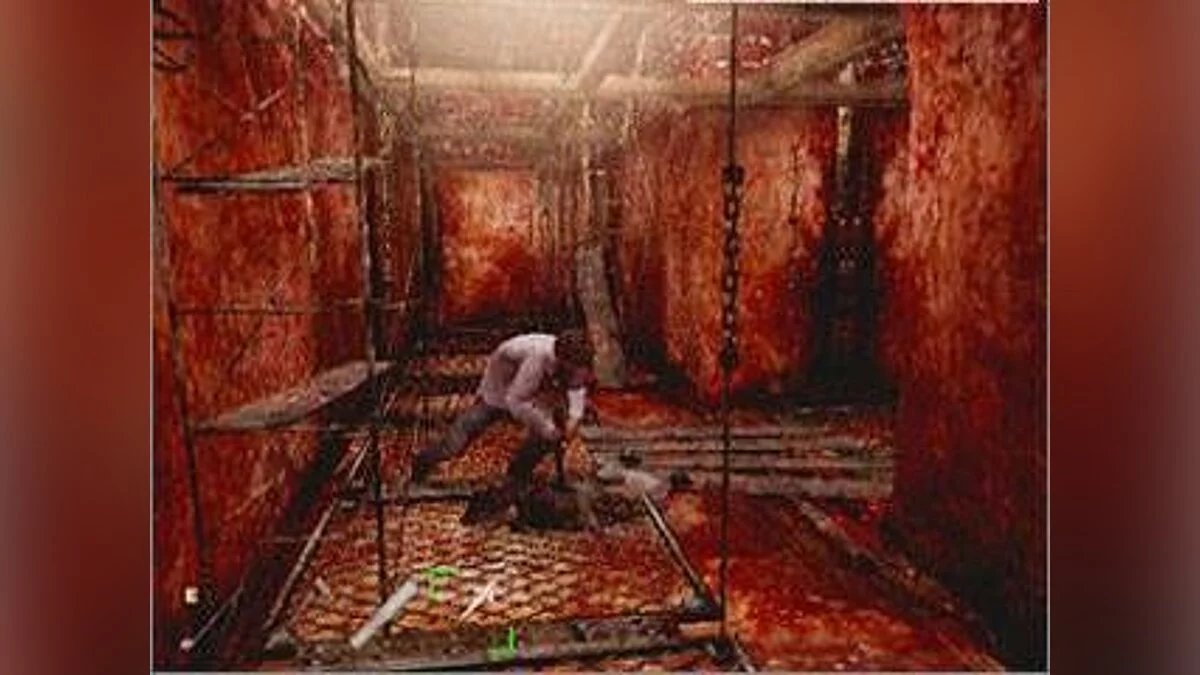 Скриншоты из Silent Hill 4: The Room / Картинка 137