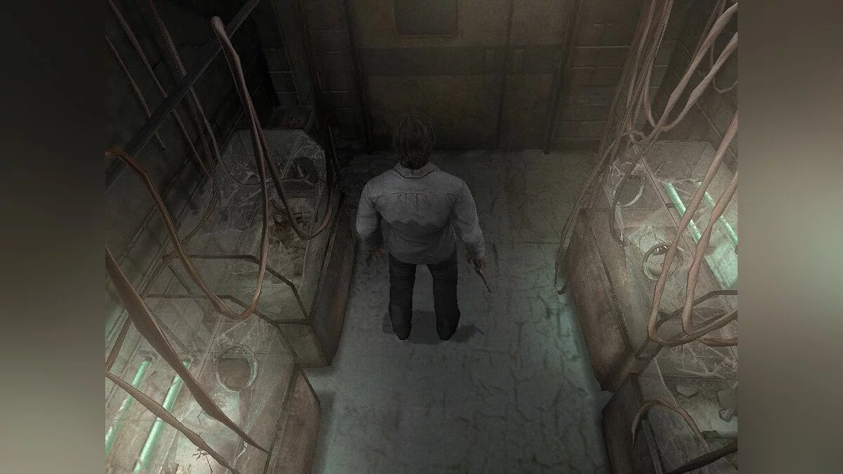 Скриншоты из Silent Hill 4: The Room / Картинка 114