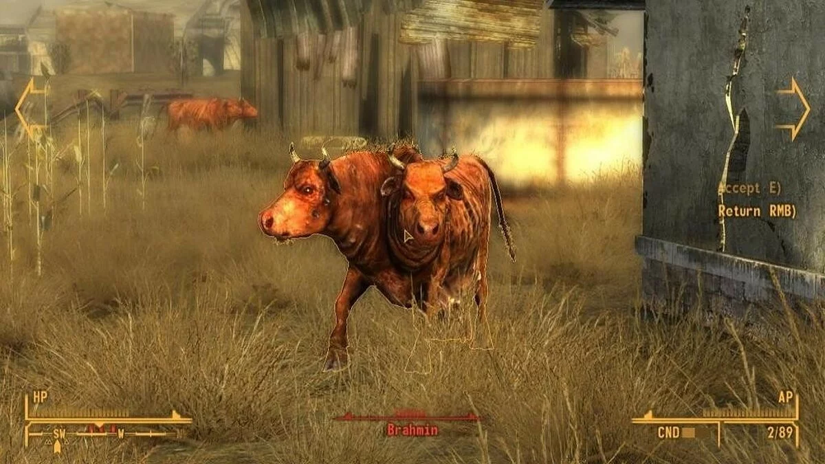 Скриншоты из Fallout: New Vegas / Картинка 96