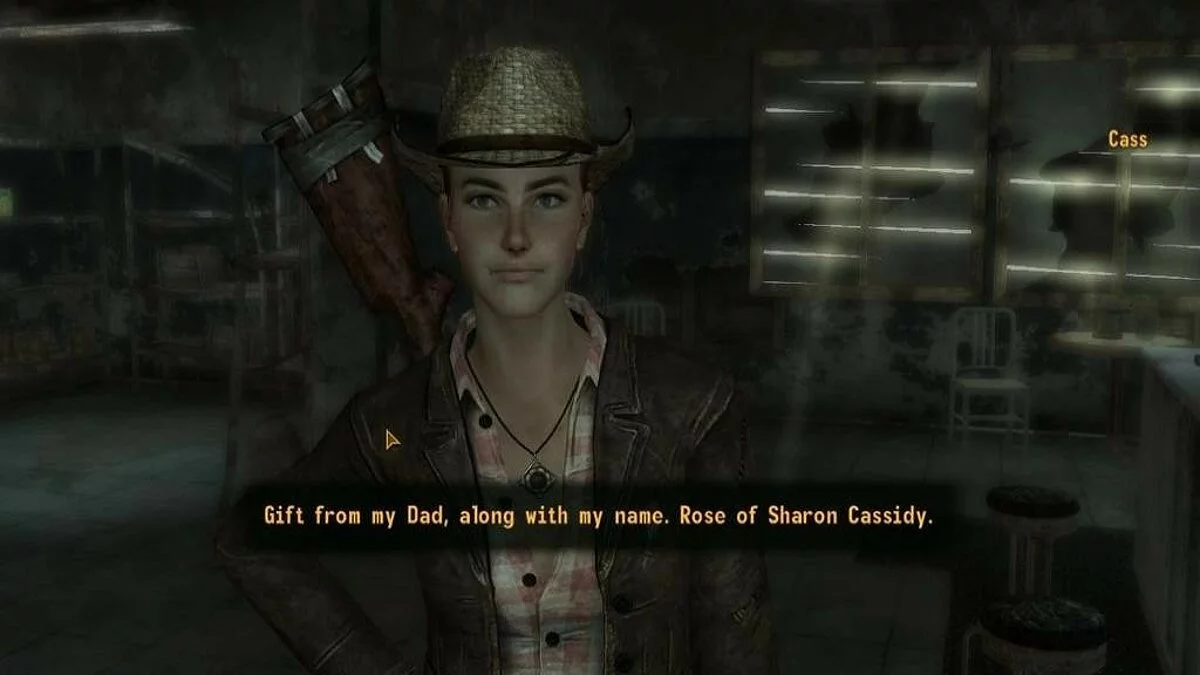 Скриншоты из Fallout: New Vegas / Картинка 107