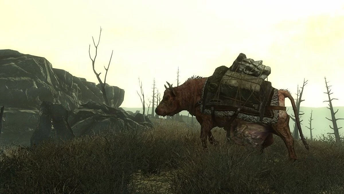 Скриншоты из Fallout 3 / Картинка 104