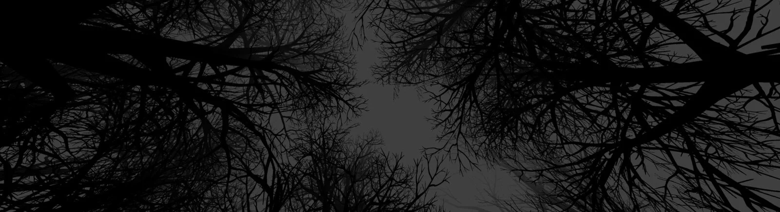 Witch Hunt (Hexenjagd) - что это за игра, трейлер, системные требования, отзывы и оценки, цены и скидки, гайды и прохождение, похожие игры 