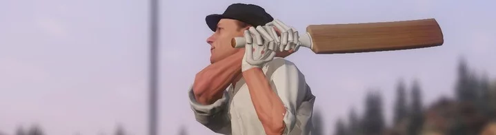 Don Bradman Cricket 14 - что это за игра, трейлер, системные требования, отзывы и оценки, цены и скидки, гайды и прохождение, похожие игры 