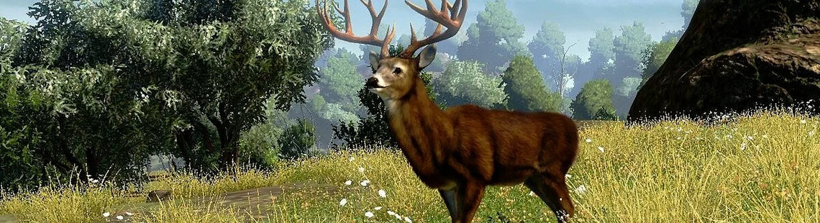 Cabela's Outdoor Adventures - что это за игра, трейлер, системные требования, отзывы и оценки, цены и скидки, гайды и прохождение, похожие игры 