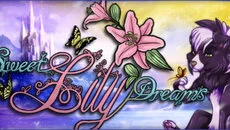 Sweet Lily Dreams