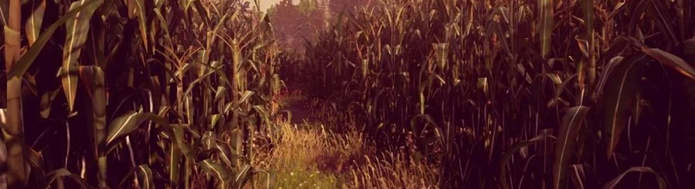 Все отзывы и оценки Maize — 1 мнение