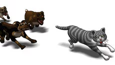 Cat! Porfirio's Adventure - дата выхода для PC