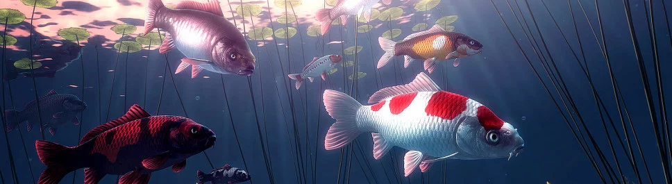 My Koi - что это за игра, трейлер, системные требования, отзывы и оценки, цены и скидки, гайды и прохождение, похожие игры 