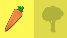 Memory Match Fruits Vegetables