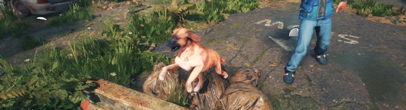 Thief Dog - что это за игра, когда выйдет, трейлер и видео, системные требования, картинки, цена, похожие игры 