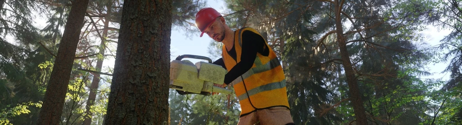 Лучшие игры для Linux, похожие на Forester Simulator