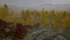 Days Gone похожа на Days Gone