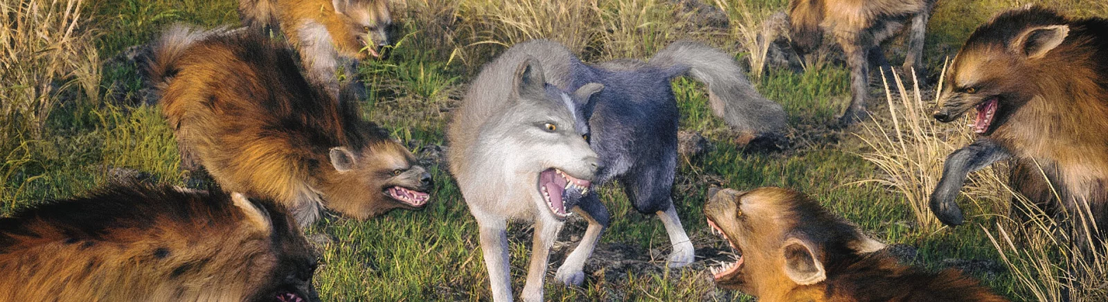 Лучшие игры для Xbox One, похожие на Wild Wolf Game