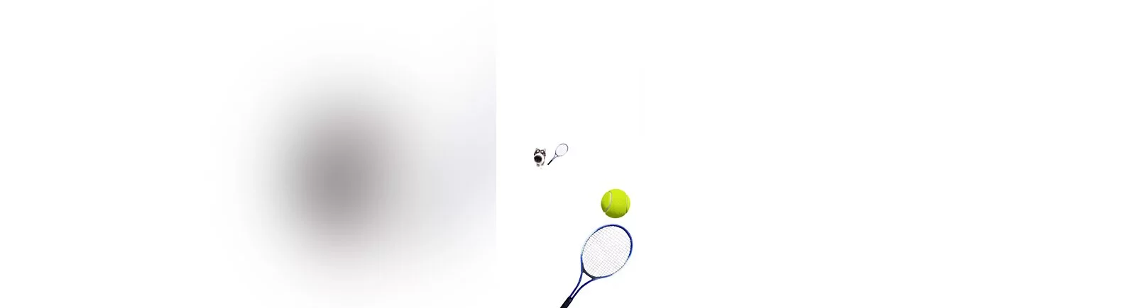Cat Tennis - Meme Game - что это за игра, трейлер, системные требования, отзывы и оценки, цены и скидки, гайды и прохождение, похожие игры 