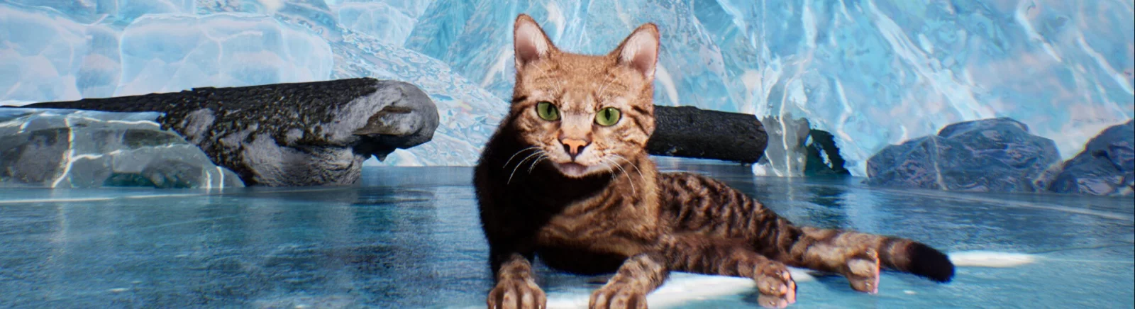 Цитаты из Super Cat Simulator