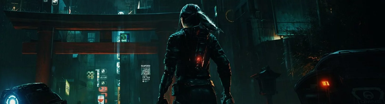 Last Sentinel - что это за игра, когда выйдет, трейлер и видео, системные требования, картинки, цена, похожие игры 