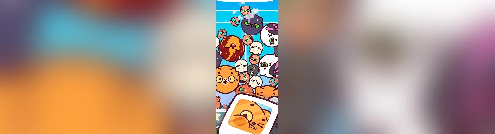 Дата выхода Watermelon Cats (Кругляшата) в разных странах мира