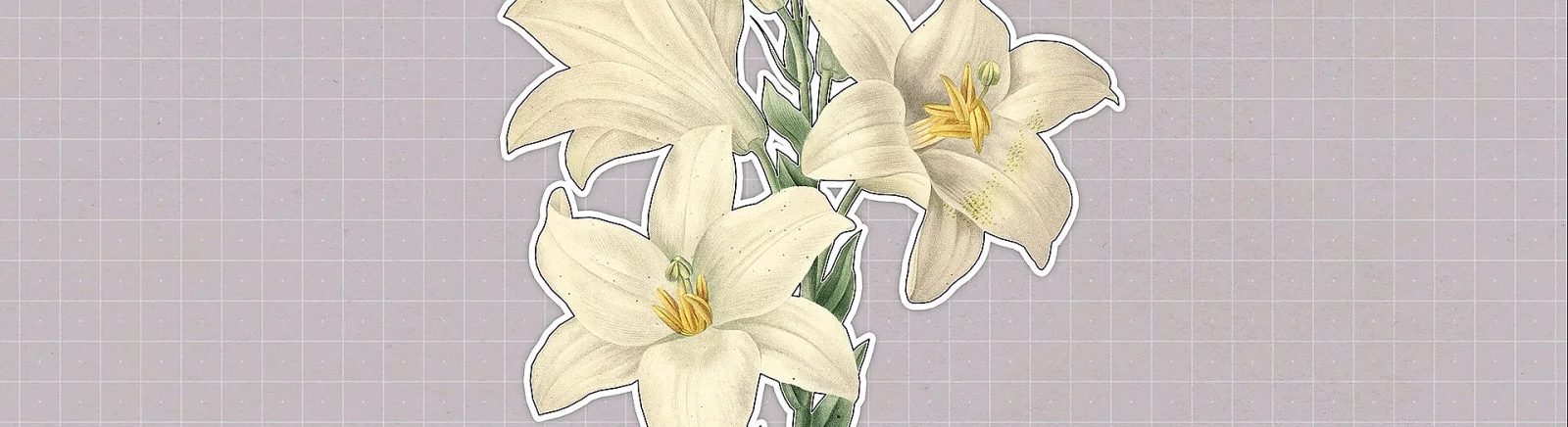 Plants Huddled Together - что это за игра, трейлер, системные требования, отзывы и оценки, цены и скидки, гайды и прохождение, похожие игры 