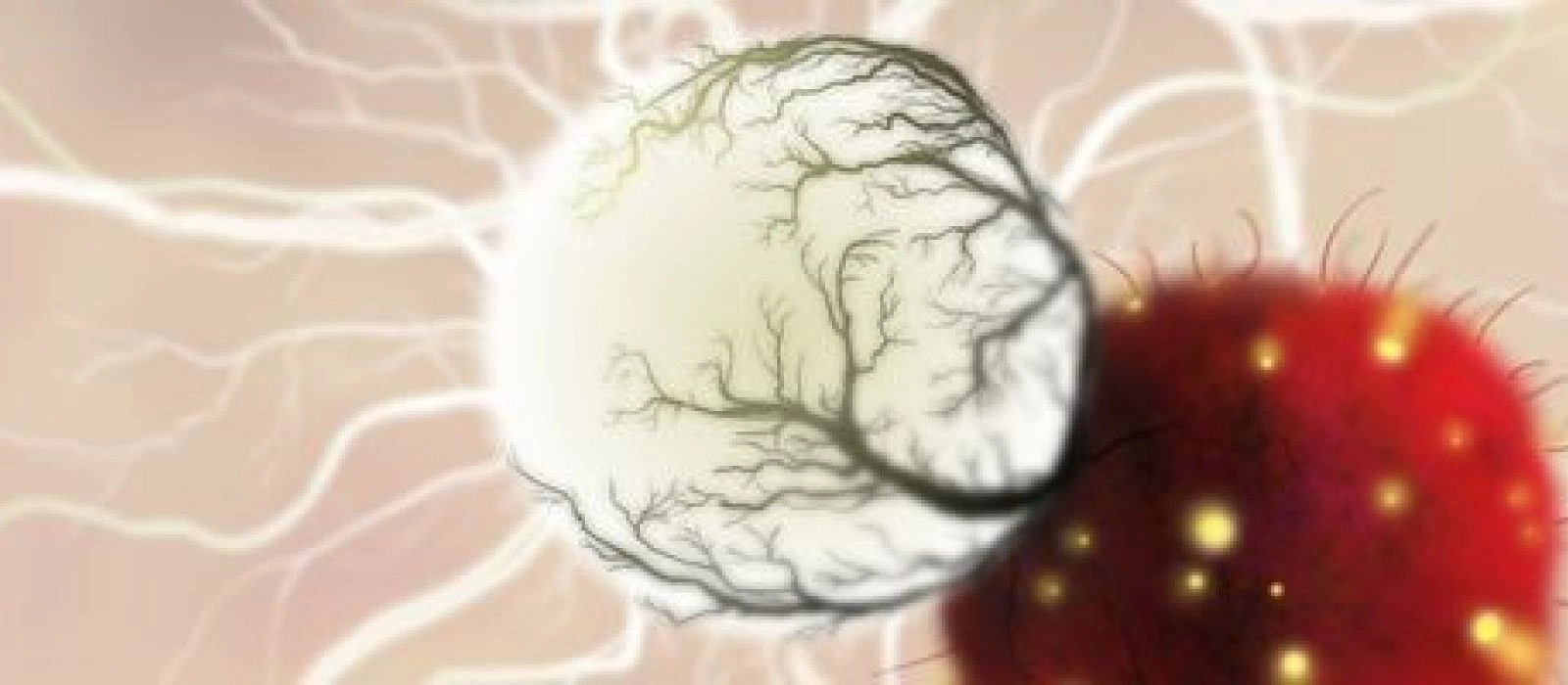 Дата выхода Botanicula