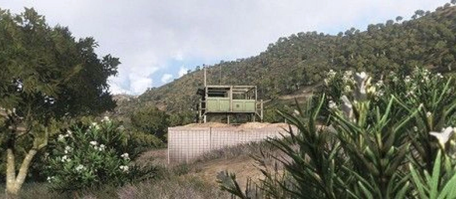 ARMA 3: Стратис