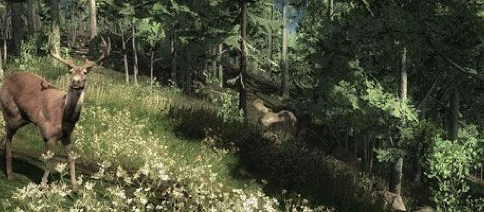 Обзор The Hunter