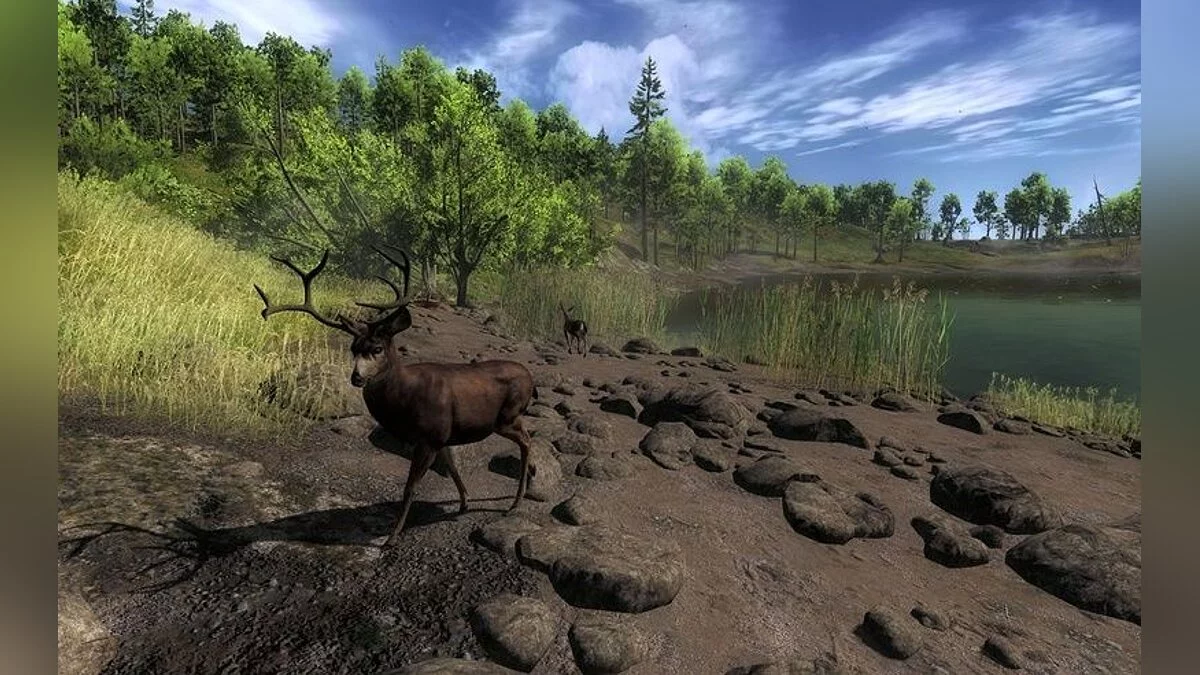 Обзор The Hunter