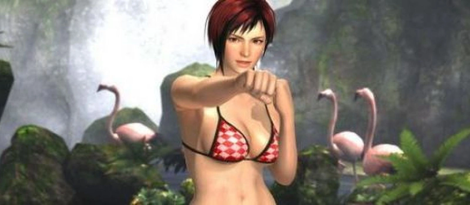 Вдохновением для Dead or Alive 5 послужила... серия Uncharted
