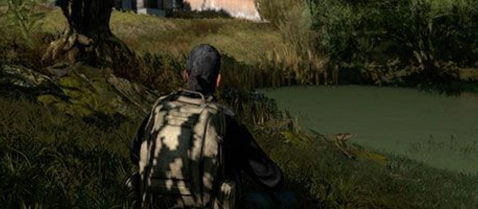 DayZ мод появился в Steam