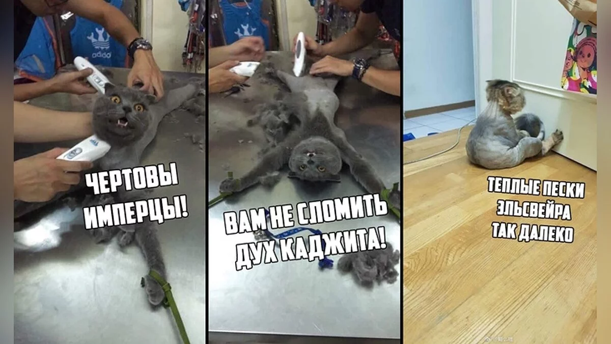 За что мы любим серию TES? Необъятный мир, тысячи квестов, моды и, конечно, МЕМЫ!