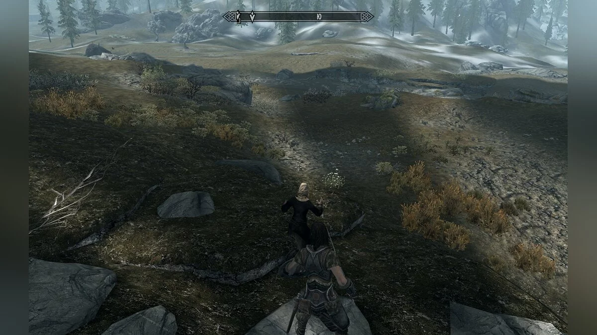 Как исправить полосы на экране в The Elder Scrolls V: Skyrim