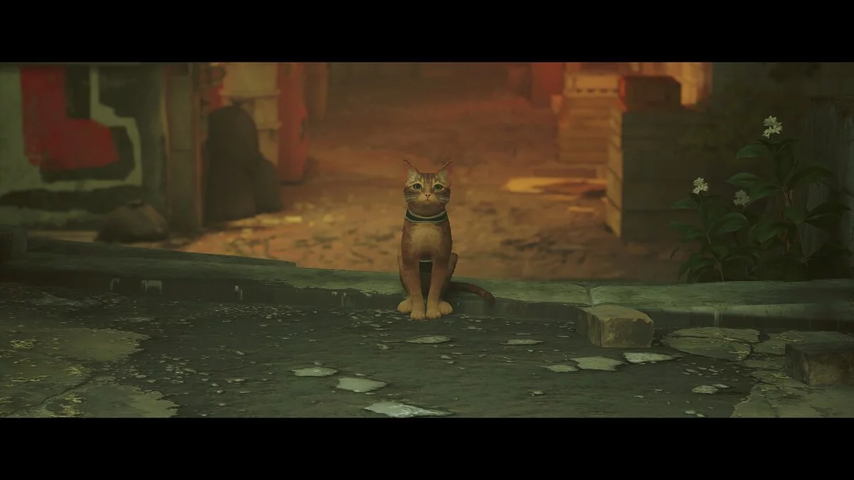 Обзор Stray. Мяу?