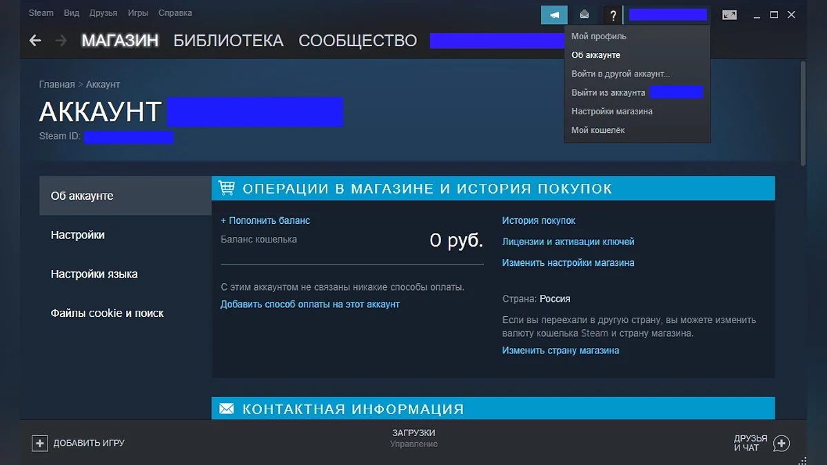 Как пополнить Steam из России 2026