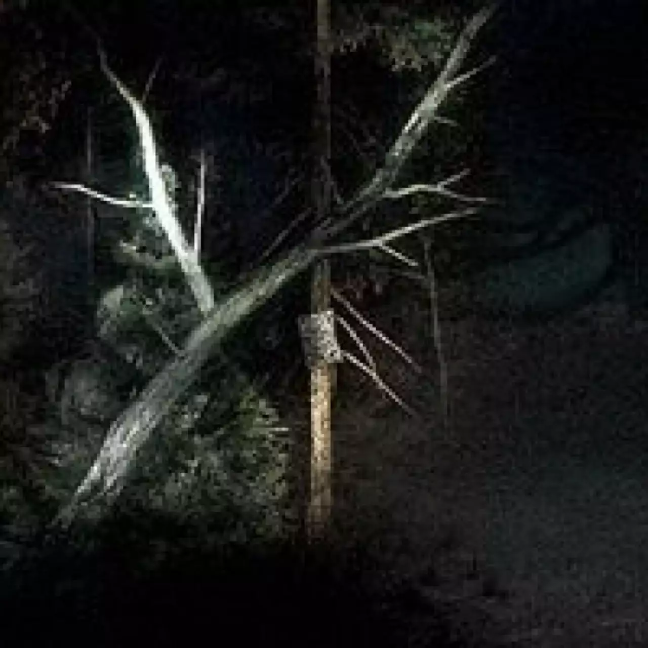 Ужастик Slender: The Arrival поступил в продажу