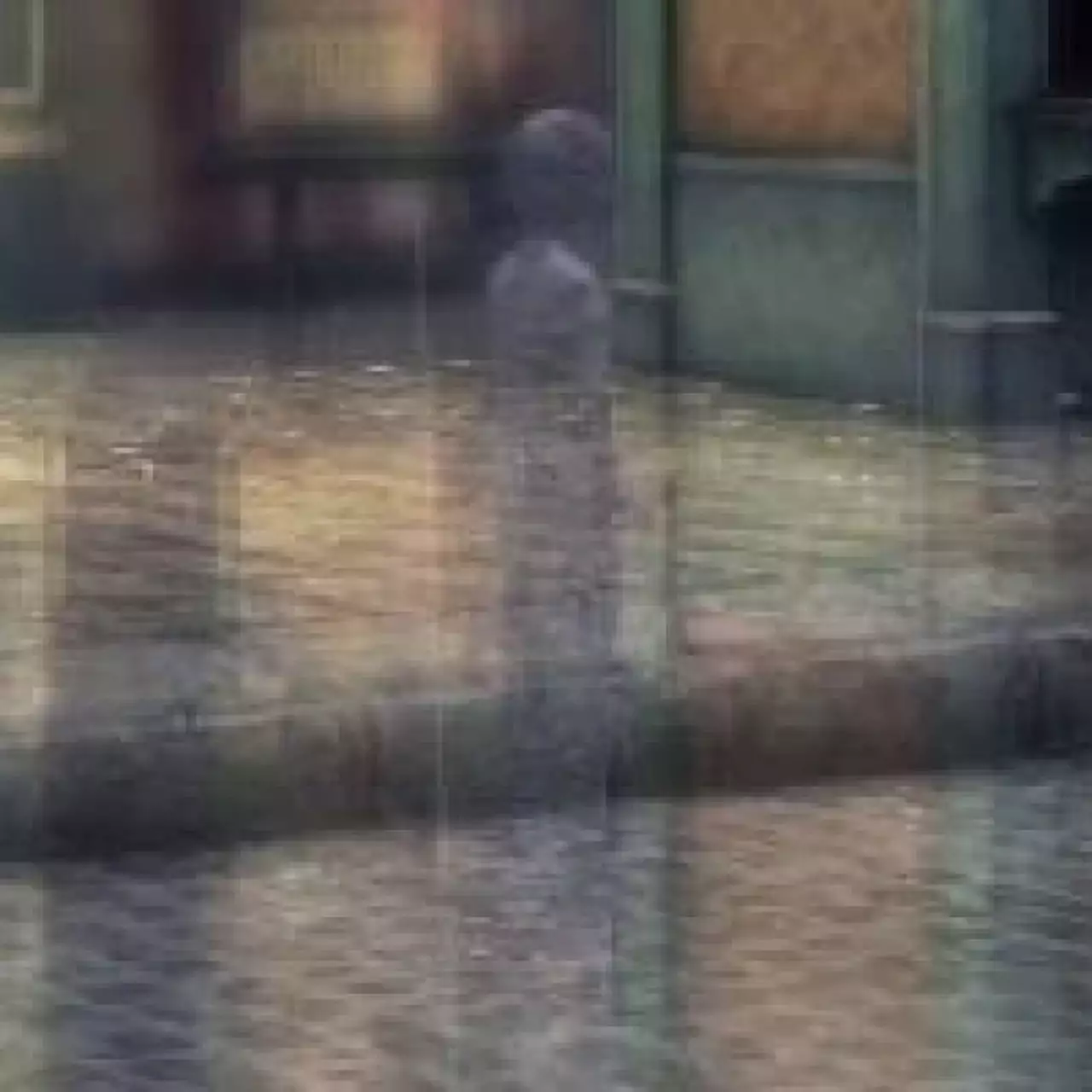 В новом трейлере Rain показали гуляющих привидений
