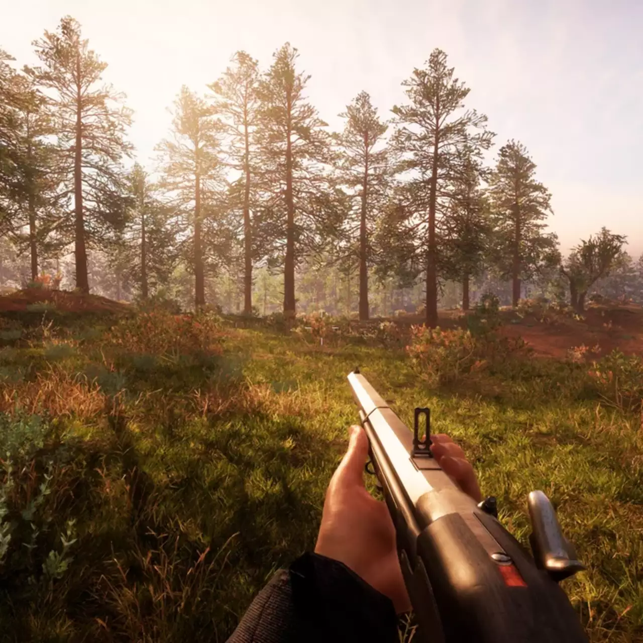 В Steam вышла полная версия вестерна, который геймеры сравнивают с Escape from Tarkov