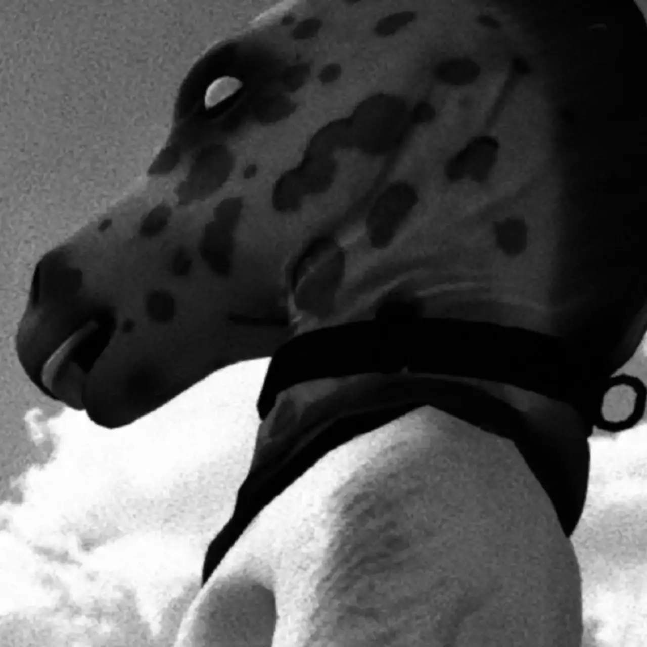 Запрещённый хоррор Horses возглавил чарты GOG на фоне цензурного скандала — игру вернули в Humble, хотя Steam и Epic продолжают отказываться от неё
