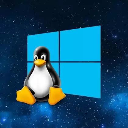 Linux почти догнал Windows в играх, но только если у вас AMD. Чудо или закономерность?