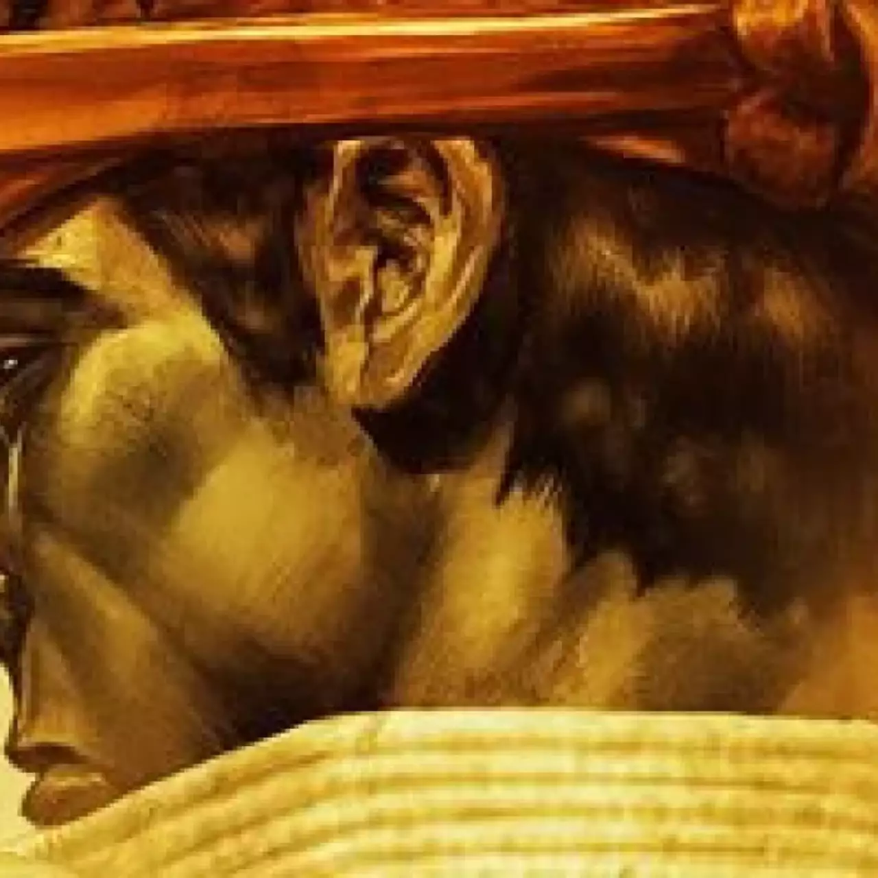 Все новшества из Ultra Street Fighter 4 появились в PC-версии Super Street Fighter 4 благодаря моду