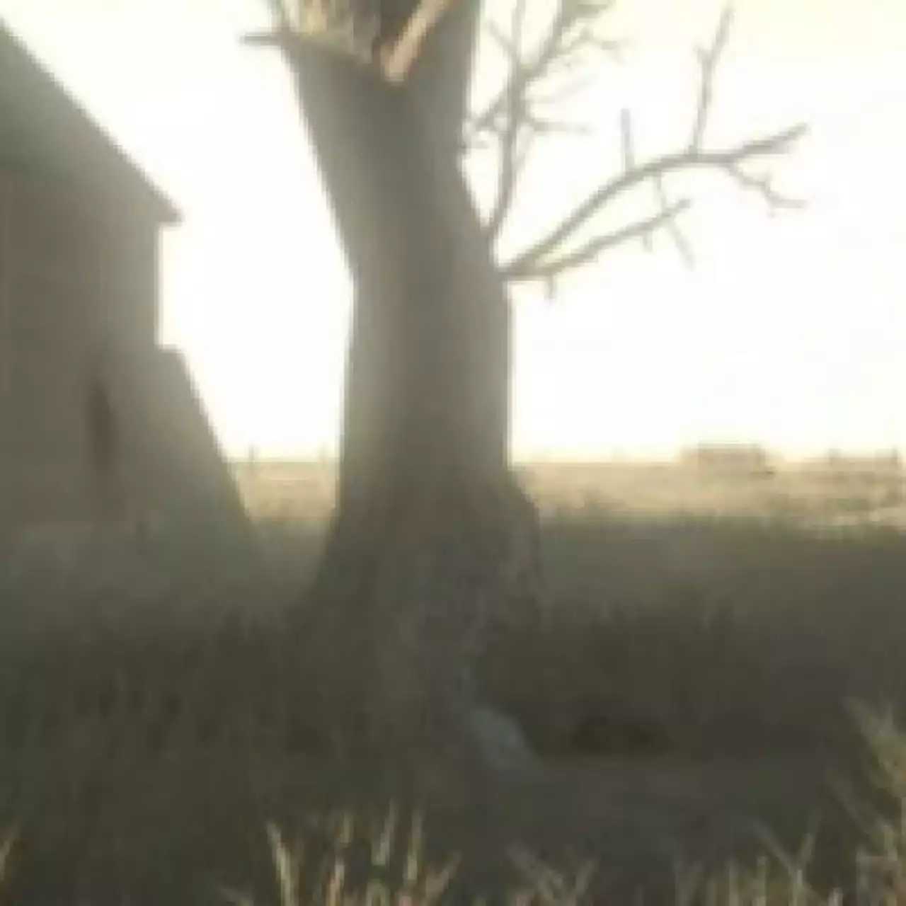 Broken Window Studios опубликовала подробности и новые скриншоты Grave