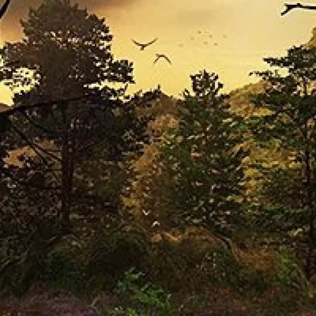 Геймплей AREAL: Origins покажут в конце лета