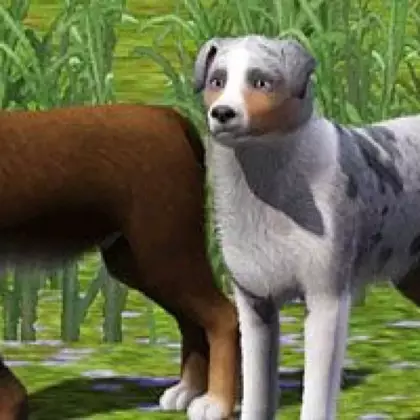 Фанаты Sims 4 получили возможность использовать моды