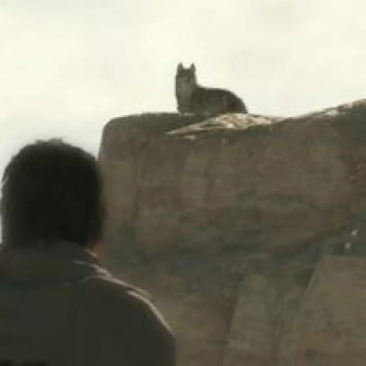 Представлен мультиплеер Metal Gear Solid 5