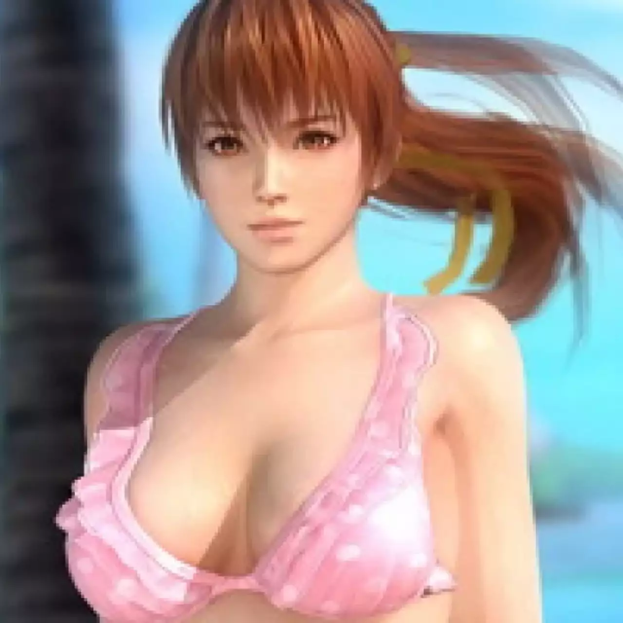 Азиатский ретейлер указал Dead or Alive 5: Last Round для PC
