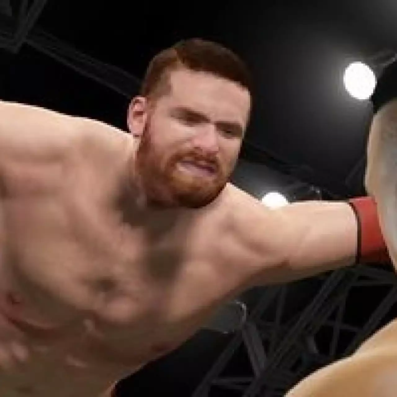 Польский ресурс указал на существование PC-версии WWE 2K15