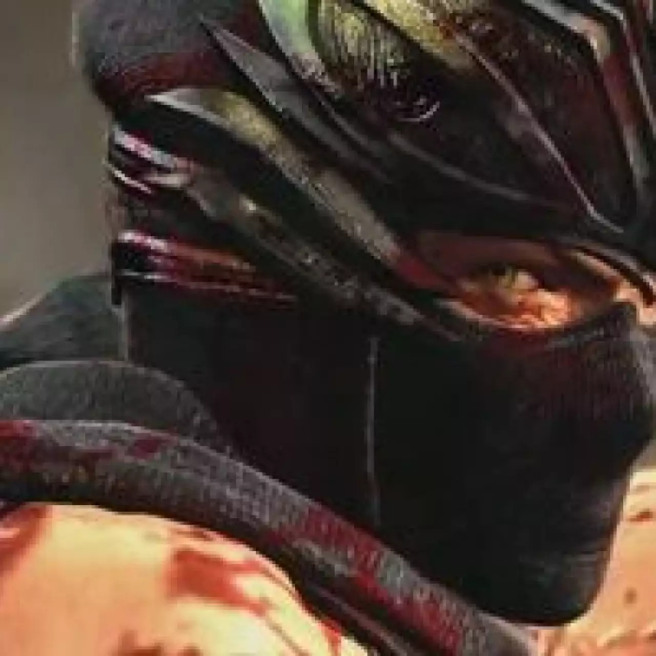 Ninja Gaiden 3 выйдет в Японии 22 марта
