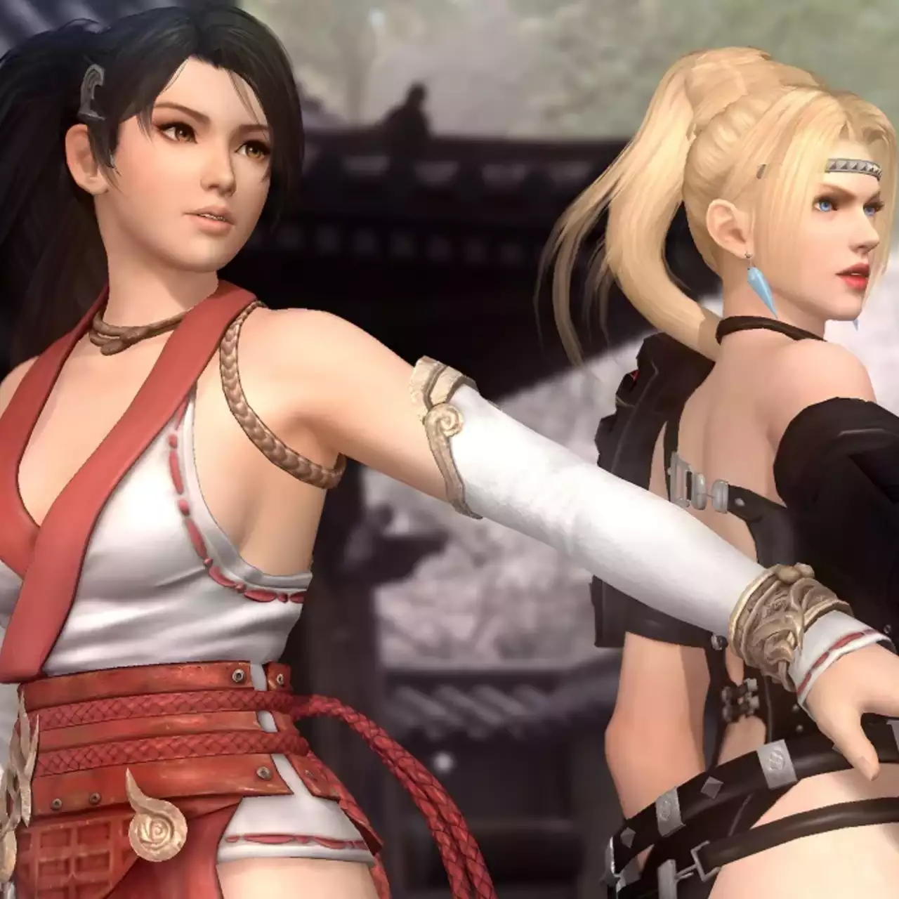 Обзор Dead or Alive 5: Last Round